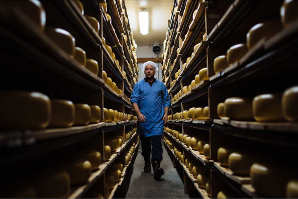 Head cheesemaker, Kuba Hemmerling walking down an aisle of the Toma cheese aging room