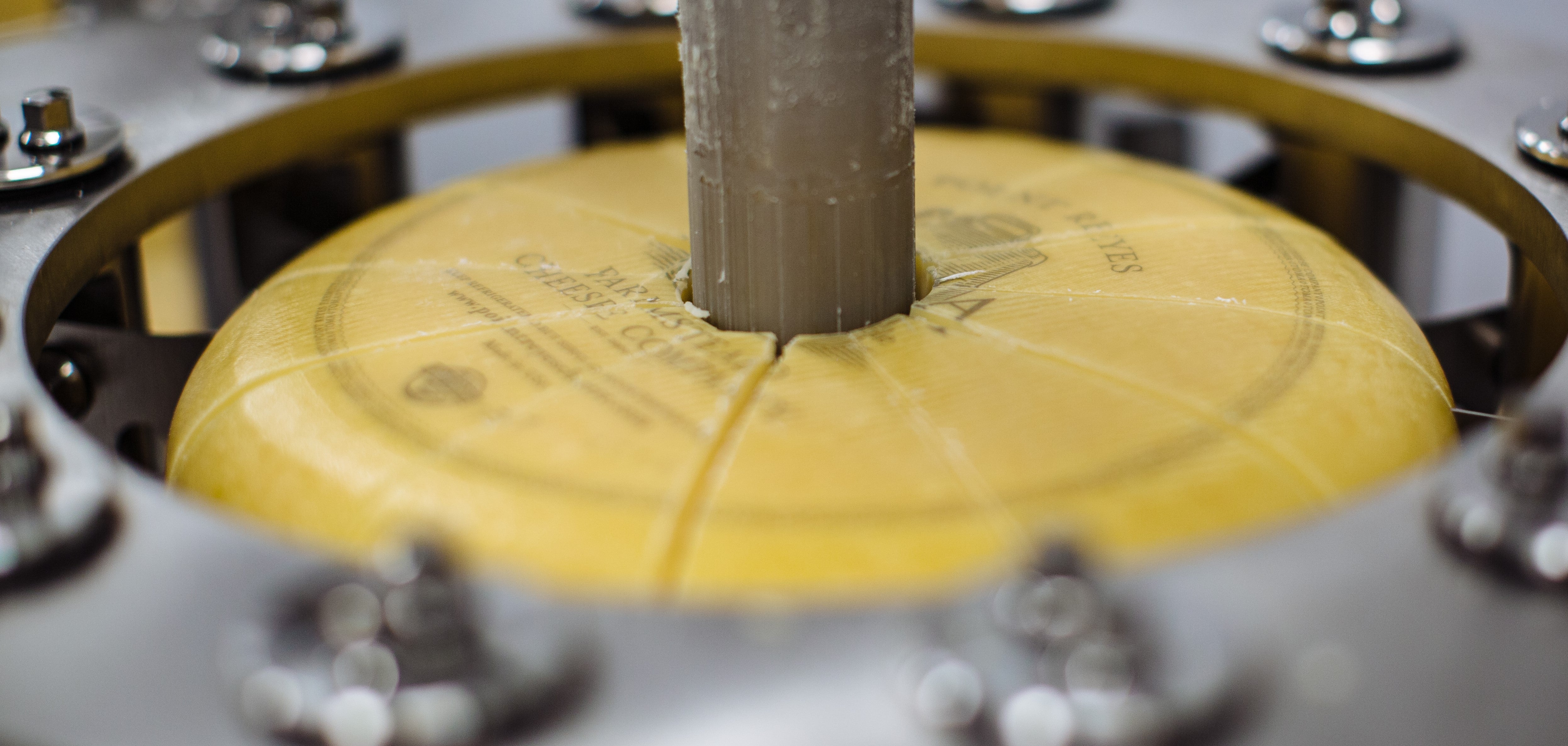 toma cheese wheel being cut into wedges