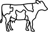 cow icon