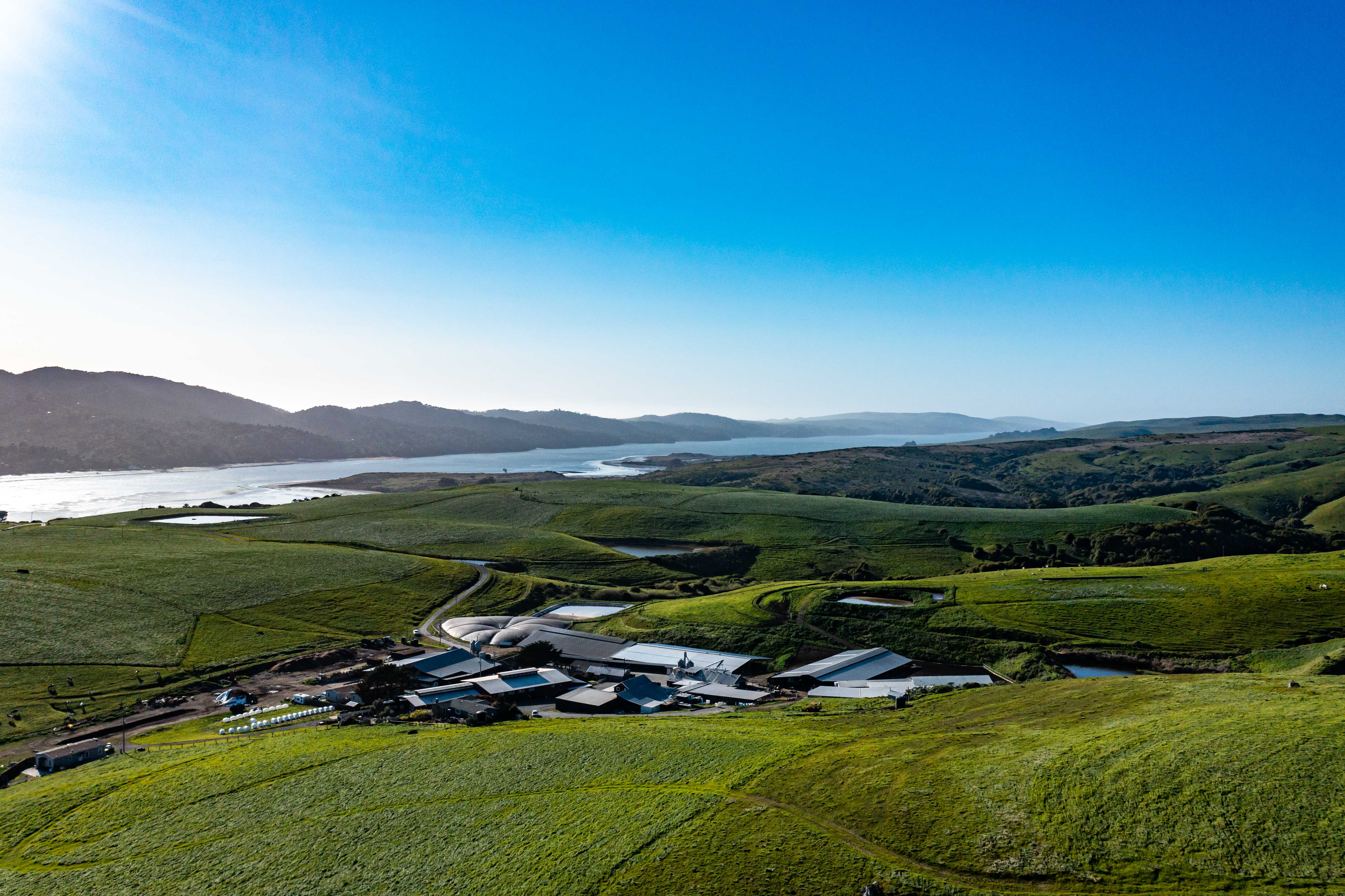 photo of a farm with green grass and a bay behind