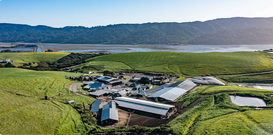 An aerial photo of the Point Reyes farm.