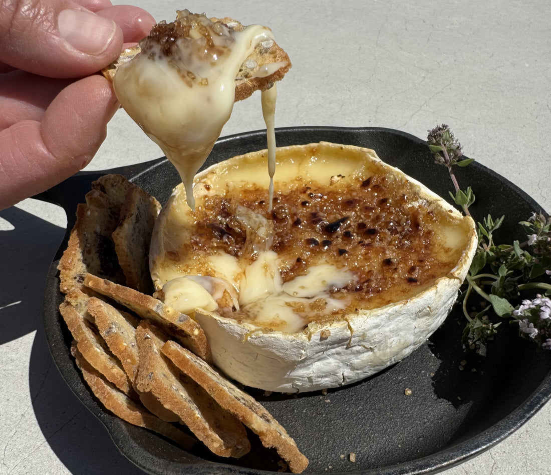 Bruleed Truffle Brie