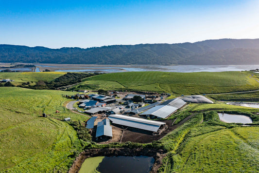 birds eye view of the farm