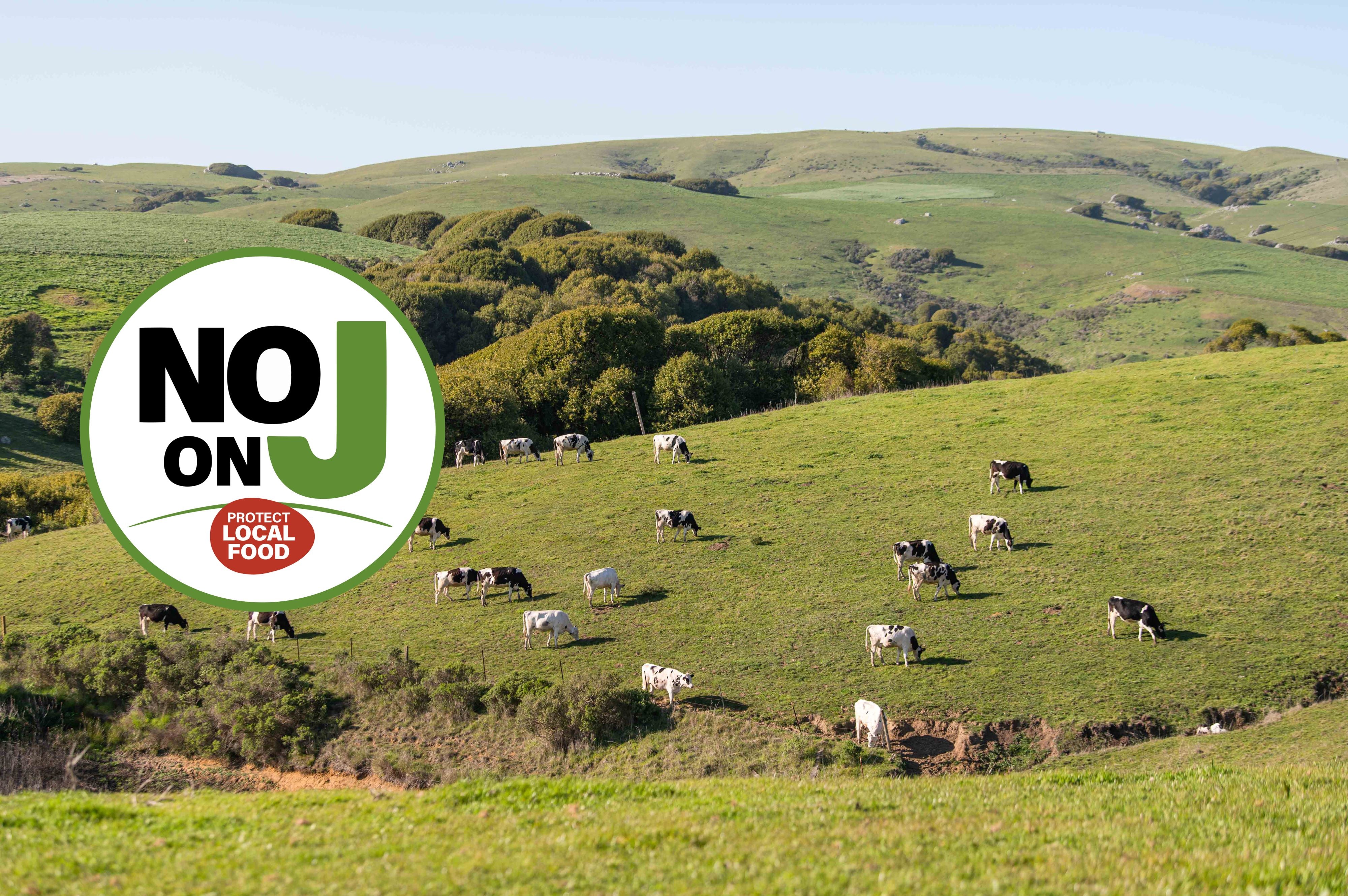 No on Measure J in Field of Cows