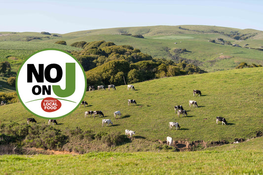 No on Measure J in Field of Cows