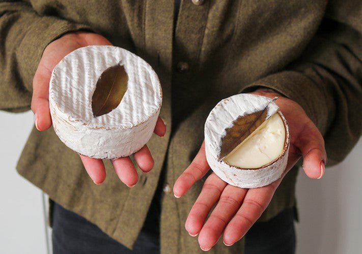 Quinta A Love Story Point Reyes Farmstead Cheese Company