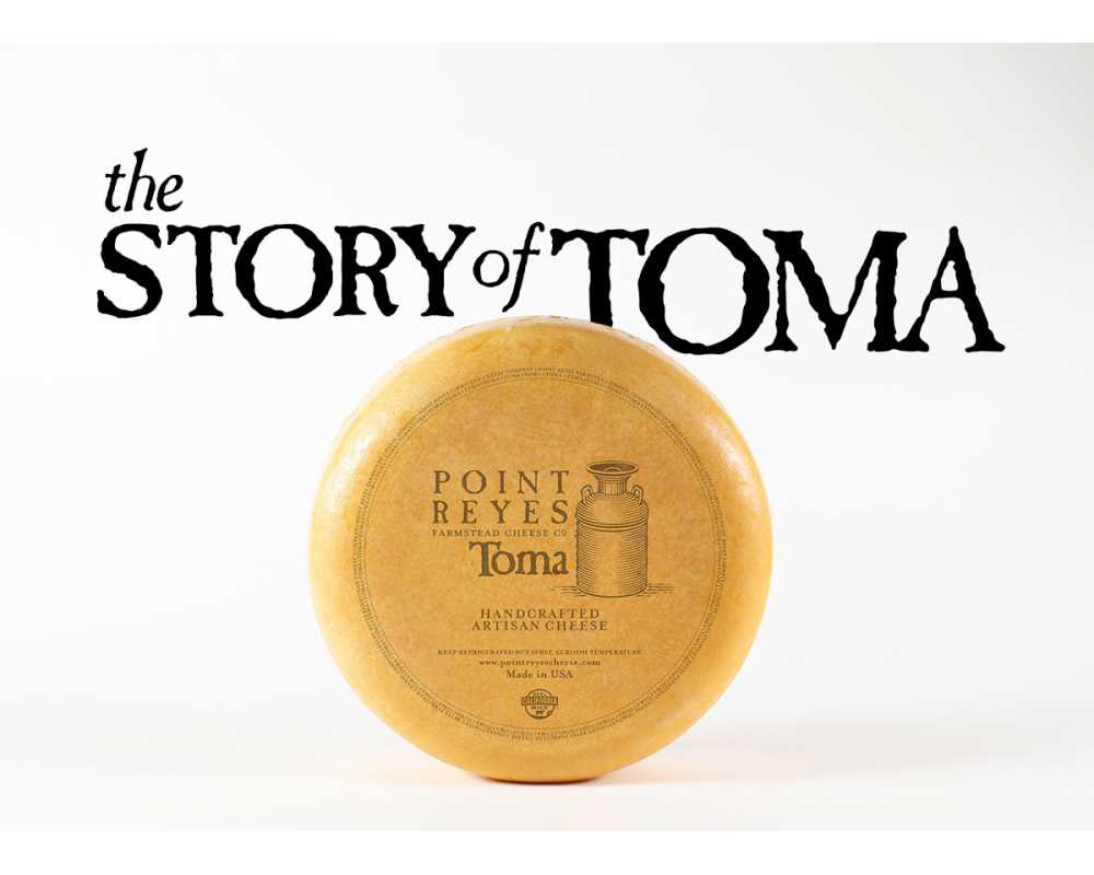 The Story of Toma – Point Reyes Farmstead Cheese Company
