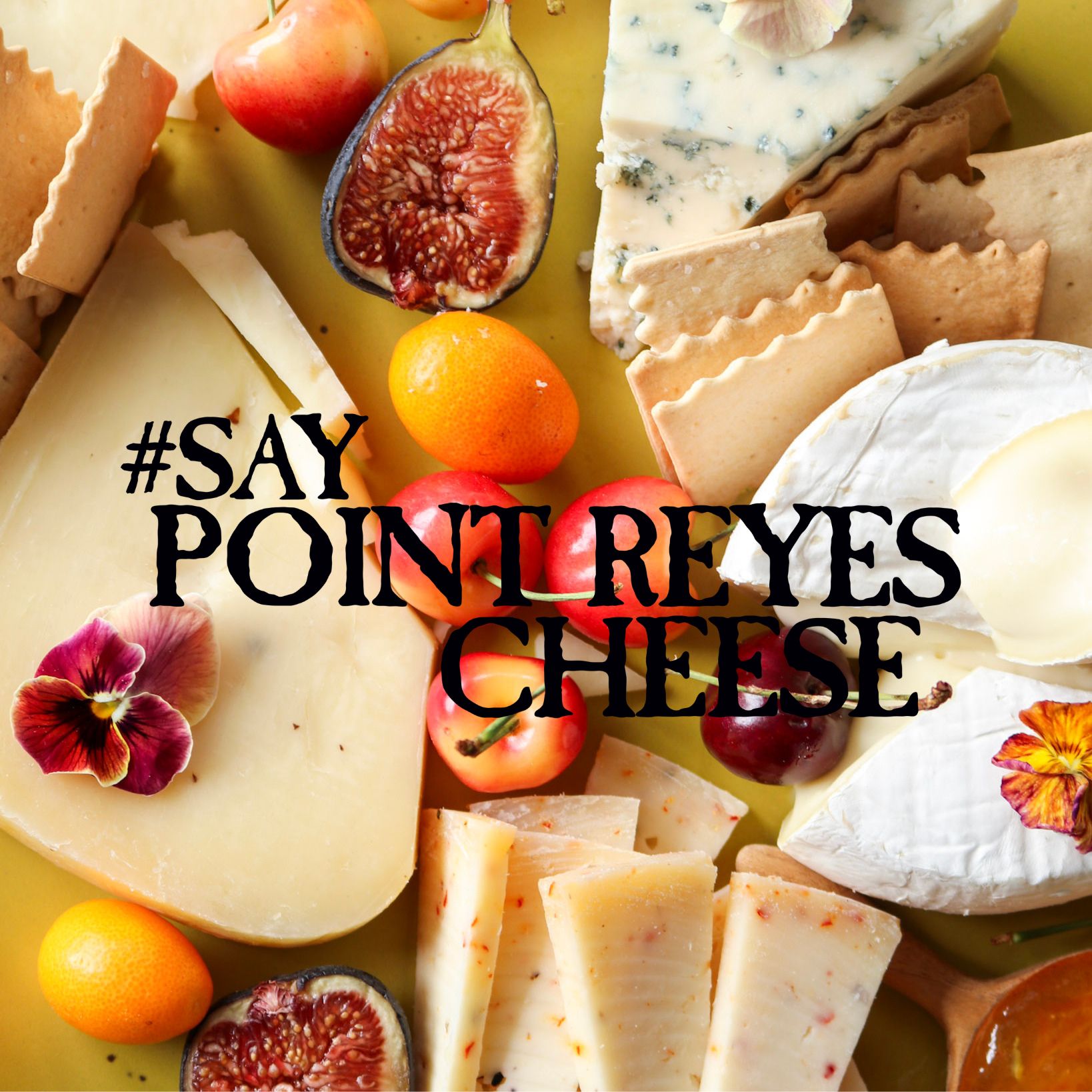 Point Reyes Cheese e-Gift Card