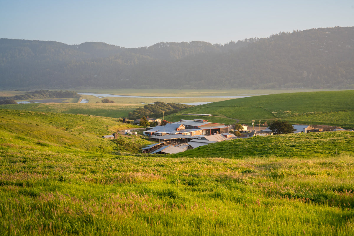 Point Reyes Farmstead Cheese Company