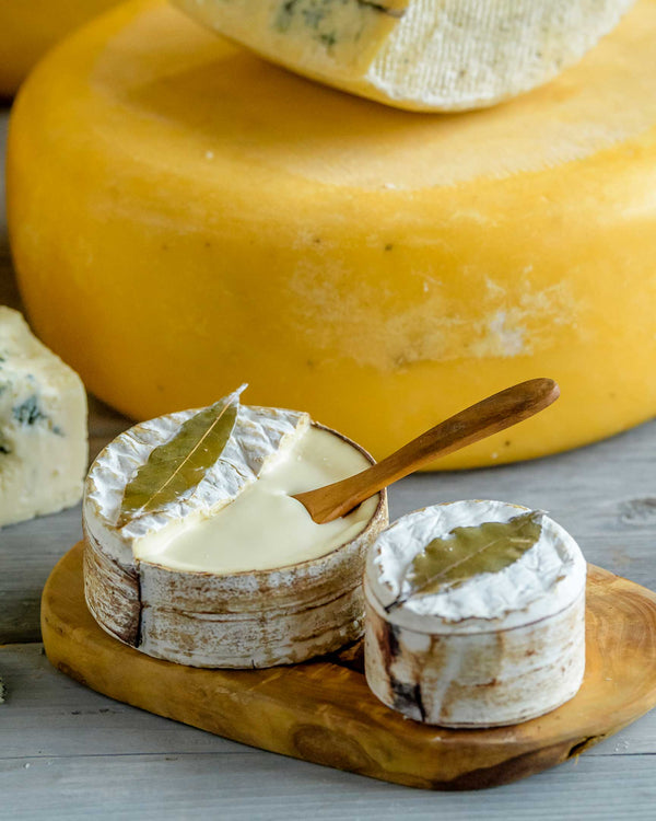 Point Reyes Farmstead Cheese Company
