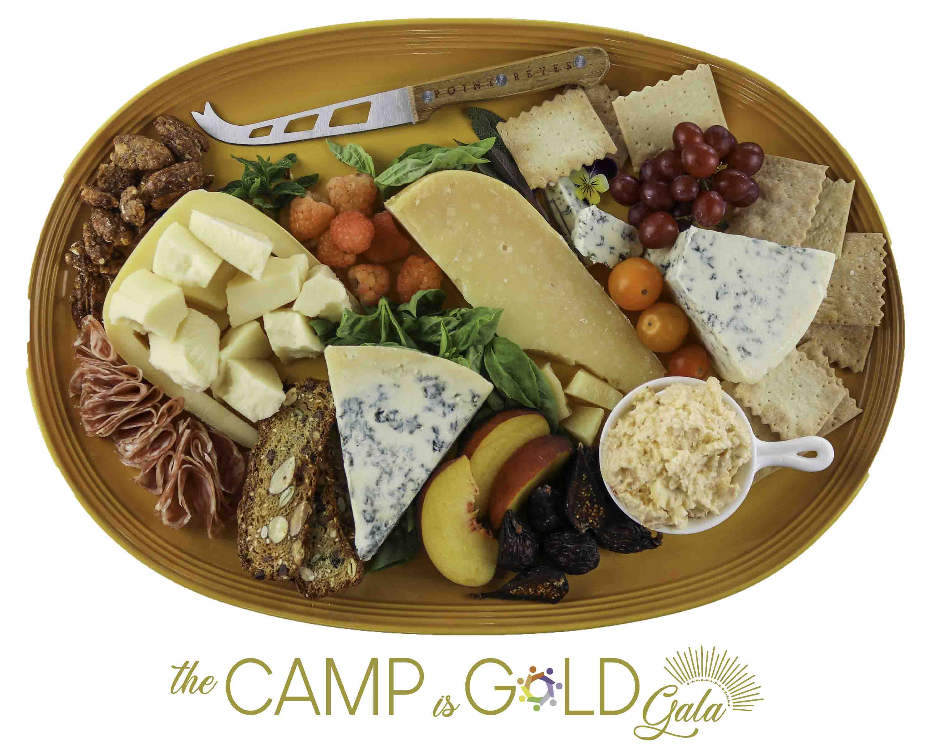 Cheese Cares: Supporting Camp One Step in the Fight Against Childhood Cancer