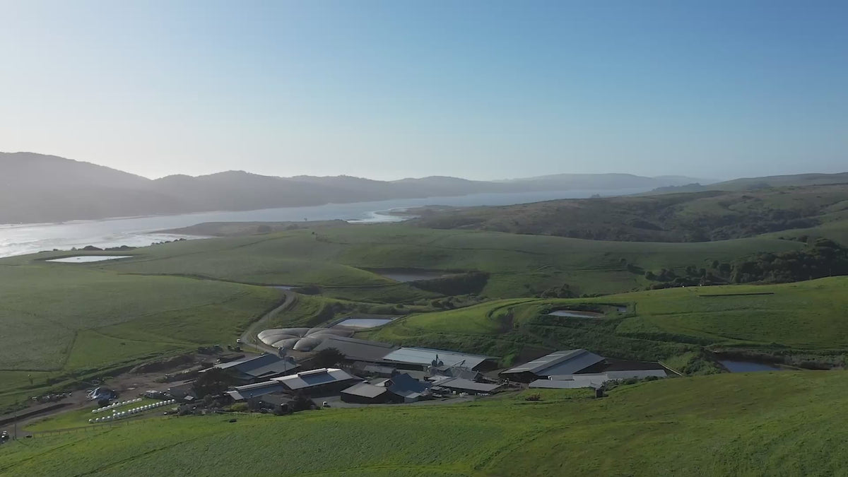 Point Reyes Farmstead Cheese Company