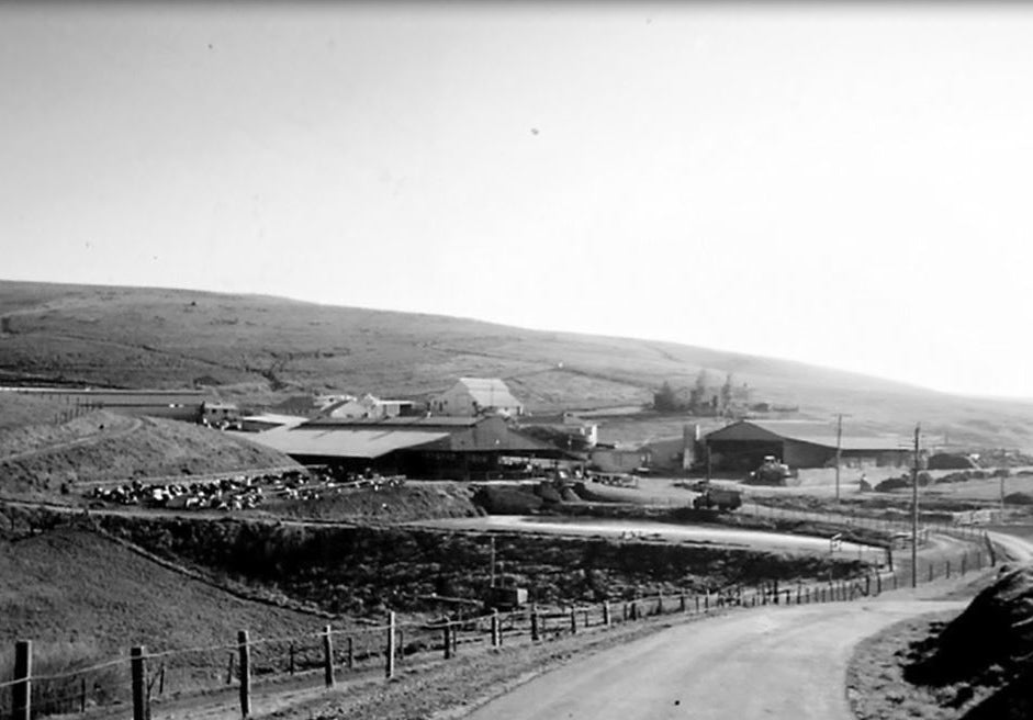 old photo of the farm from the 1960s