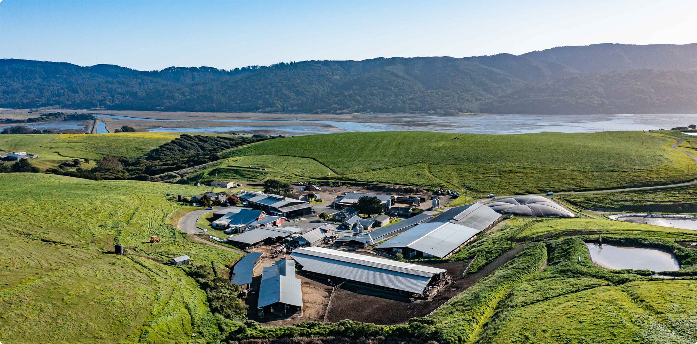 An aerial photo of the Point Reyes farm.
