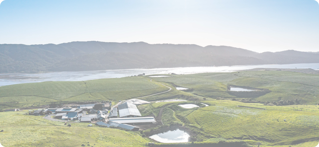 aerial view of the farm